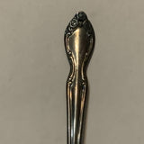 Teaspoon Collectable Souvenir Spoon DL