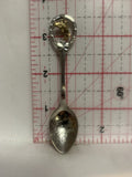 Hell's Gate Fraser Canyon BC Fish Souvenir Spoon