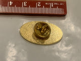 North Carolina Nurses Assocaition 1902  Lapel Hat Pin DT