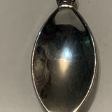 Alberta Wildlife Park Bear Giraffe Collectable Souvenir Spoon DM