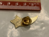 Teamwork Star  Lapel Hat Pin DT