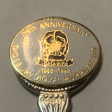 25th Anniversary Didsbury Royal Purple #317  Collectable Souvenir Spoon DM