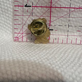 ACH Teddy Bear  Lapel Pin