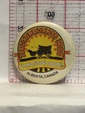 Homecoming 1980 Stamp around Alberta Button Pinback