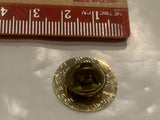 Clyde School Reunion CHS 1996 Logo Lapel Hat Pin DW