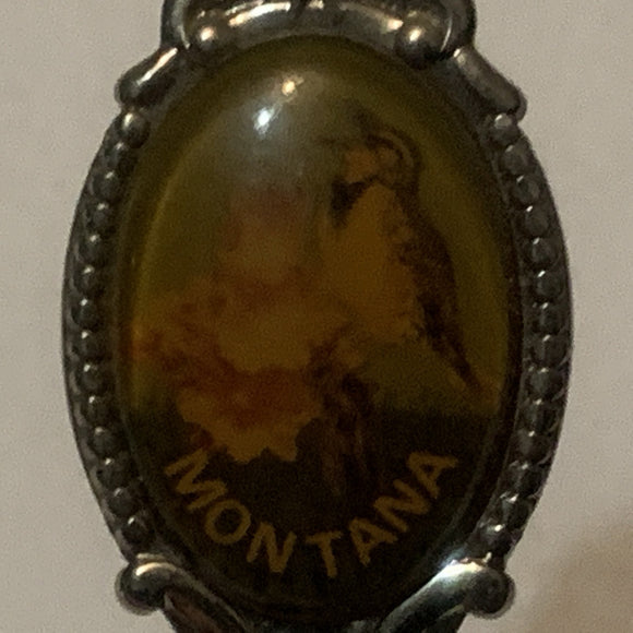 Montana State Bird and Flower Collectable Souvenir Spoon DP