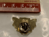 City of Red Deer Coat of Arms Lapel Hat Pin DX
