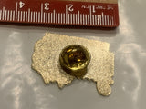 Central Alberta Crime Stoppers Logo Lapel Hat Pin DX