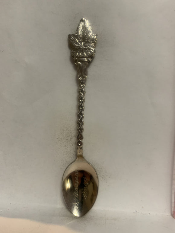 David Thompson Resort Alberta Canada Souvenir Spoon
