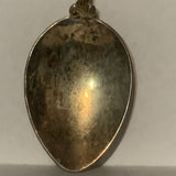 Ireland Shamrock Collectable Souvenir Spoon DQ
