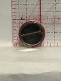 Squirrel Holding Acorn Nut Button Pinback