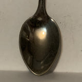 Florida State Collectable Souvenir Spoon DQ