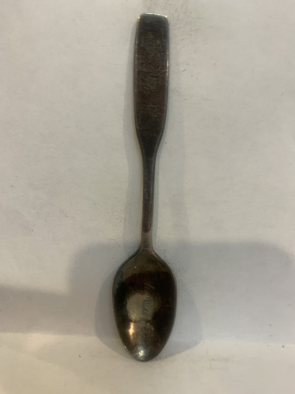 Rimbey Wild Rose Alberta Souvenir Spoon