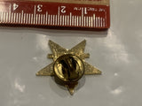 US CPAA United States Cerebral Pals Athletic Assocaition Lapel Hat Pin DY