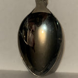 Yellowknife NWT Raven Northwest Territories Collectable Souvenir Spoon DS