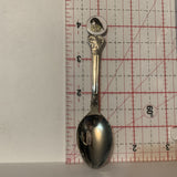 Yellowknife NWT Raven Northwest Territories Collectable Souvenir Spoon DS