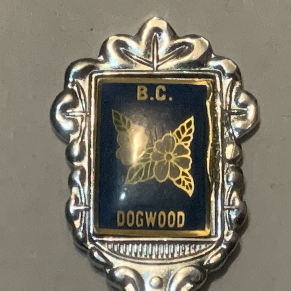 Invermere BC Dogwood Flower British Columbia Collectable Souvenir Spoon DS
