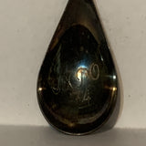 Spokane Logo Expo 74 Washington State Collectable Souvenir Spoon DT