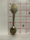 Fredericton New Brunswick Flower Souvenir Spoon