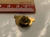 Regina Grey Cup 1995 Saskatchewan CFL Lapel Hat Pin EB