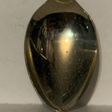 The Enchenated Forest Canada  Collectable Souvenir Spoon DV