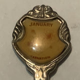 January Carnation Flower Collectable Souvenir Spoon DV