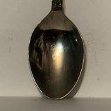 January Carnation Flower Collectable Souvenir Spoon DV