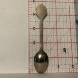 January Carnation Flower Collectable Souvenir Spoon DV