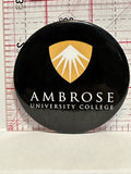 Ambrose University College Button Pinback