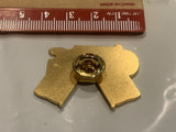 District 26 Lions Club 1972 Missouri 50th Lapel Hat Pin EE