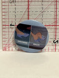 Cinderella Glass Slipper Expectation Reality Disney Button Pinback