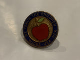 We Teach The Children Apple WJCEA VEA NEA Lapel Hat Pin BR