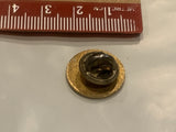 We Teach The Children Apple WJCEA VEA NEA Lapel Hat Pin BR