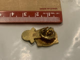100% Attendance 1969 70 Lions Club 50th Anniversary Lapel Hat Pin EF