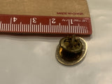 C.A.R.E.S. Pro 1987 Red Deer Friends Helping Friends Lapel Hat Pin BR