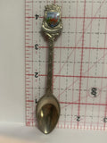 Florida Flamingo Birds Souvenir Spoon