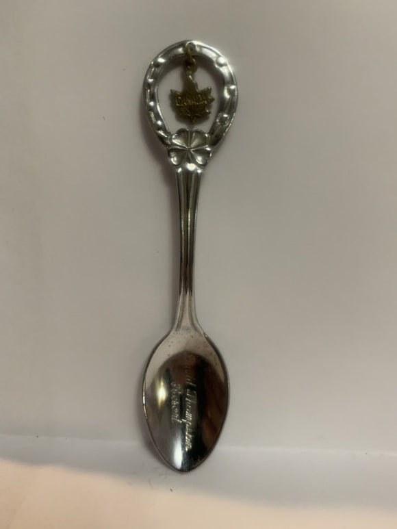 David Thompson Resort Alberta Canada Souvenir Spoon