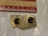 Oyen Host Club Lions Club 9th District 37E Convention Banff 1987 Lapel Hat Pin EG