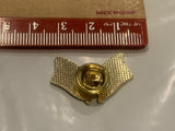 USA Aruba Friendship Flags Lapel Hat Pin EG