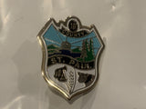 St Paul County 19 Logo Lapel Hat Pin BT