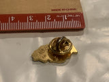 Lions Club 100% Attendance 1974 1975 Lapel Hat Pin BU
