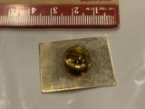 IAFE 102nd Annual Convention  Lapel Hat Pin EI
