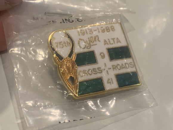 Oyen Alberta 75th 1913 1988 Cross Roads Logo Lapel Hat Pin EI