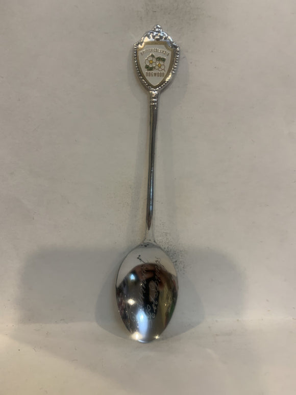 Fairmont Hot Springs British Columbia Dogwood Souvenir Spoon