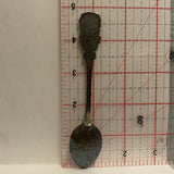 Fiji Islands Coat of Arms Painted Bowl Collectable Souvenir Spoon AA