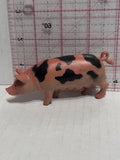 Spotted Pig Hog Swine  Toy Animal