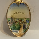 Budapest Hungary Rose Flower Painted Bowl Collectable Souvenir Spoon AB
