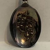 British Columbia Flag Dogwood Flower Collectable Souvenir Spoon AC
