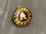 Ardrossan Seniors A Team Lapel Hat Pin BX