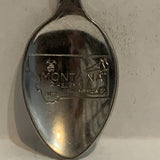 Montana Blue Arrow Head Collectable Souvenir Spoon AC